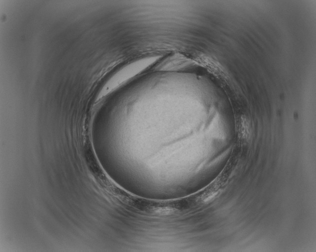 X0000065250360200603031809