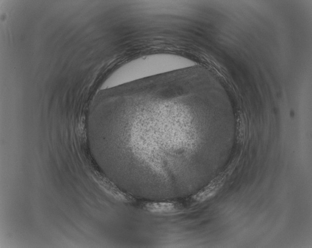 X0000065250361200603031809