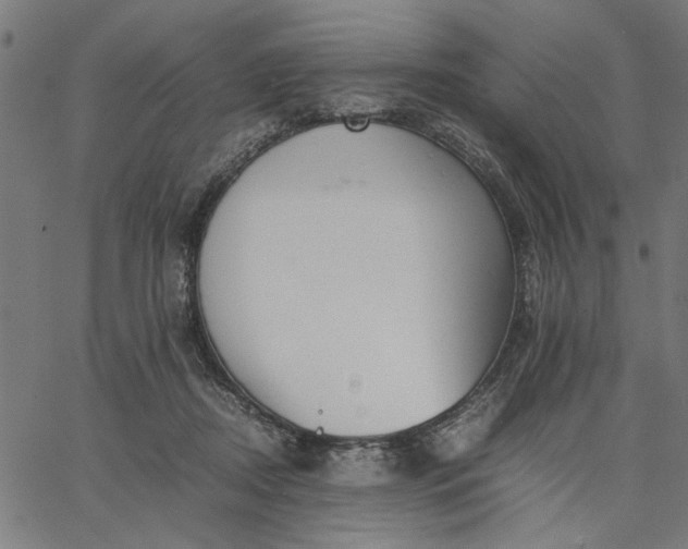 X0000065250362200603031809