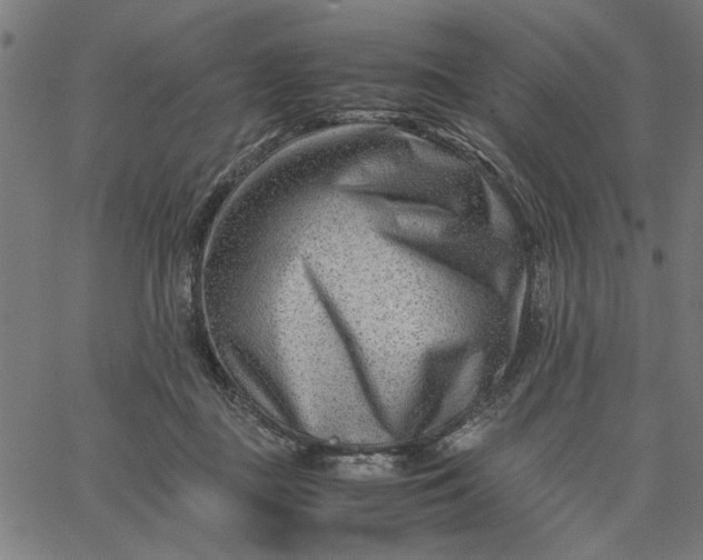 X0000065250363200603031809