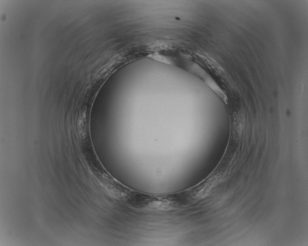 X0000065250364200603031809