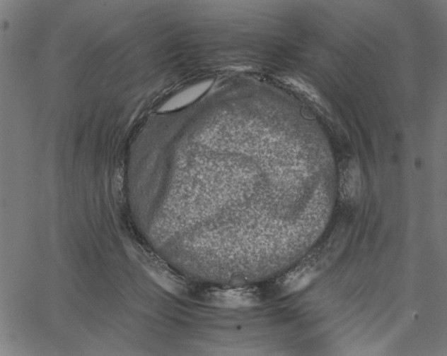 X0000065250365200603031809