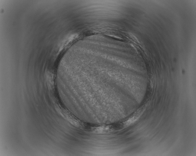 X0000065250366200603031809