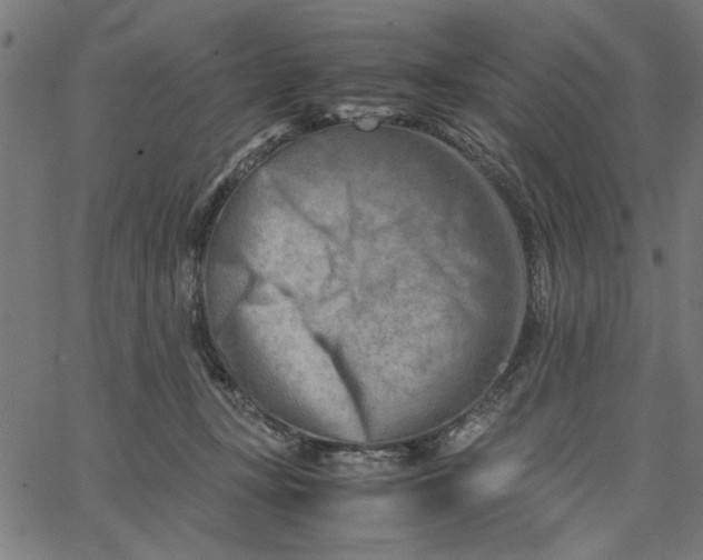 X0000065250367200603031809