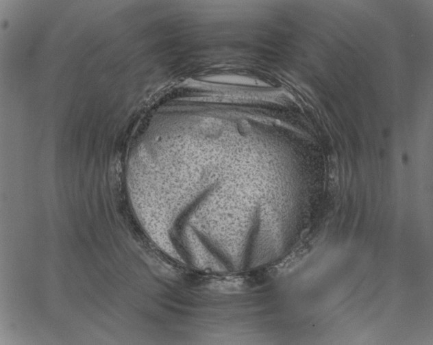 X0000065250369200603031809