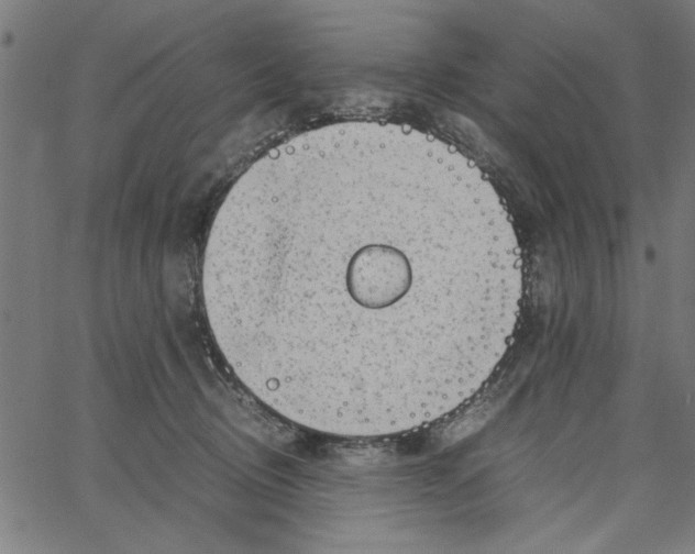 X0000065250370200603031809