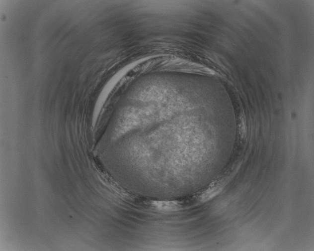 X0000065250371200603031809