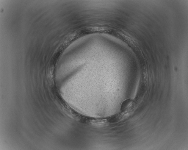 X0000065250373200603031809