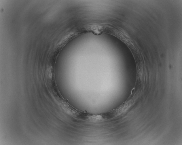 X0000065250374200603031809