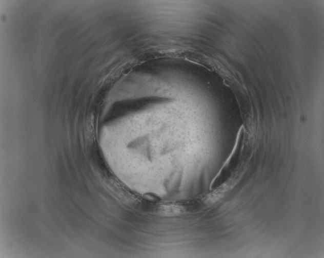 X0000065250376200603031809