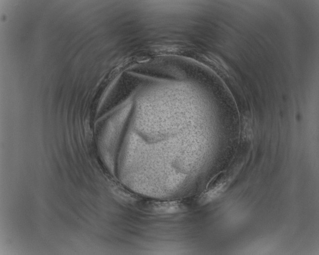 X0000065250377200603031809