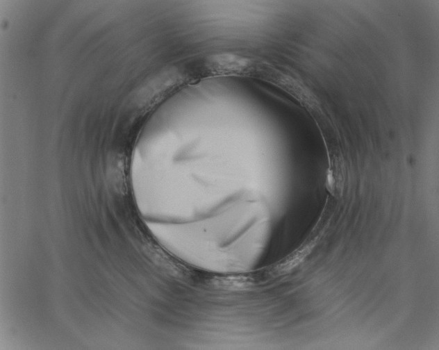 X0000065250378200603031809