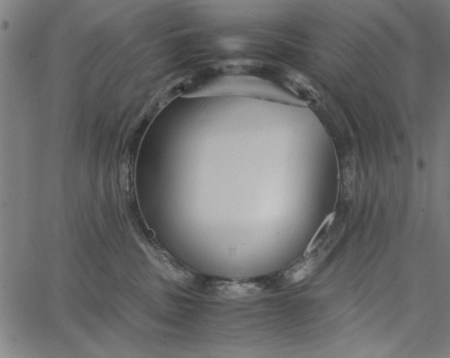 X0000065250379200603031809