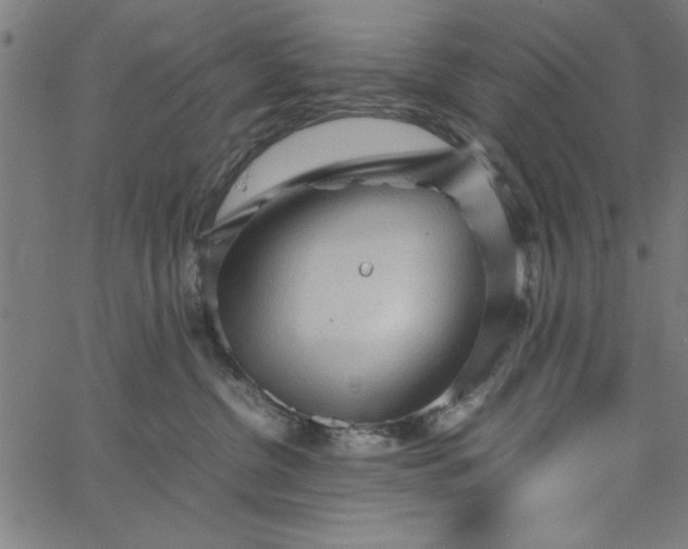 X0000065250380200603031809