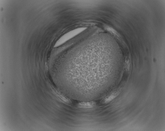 X0000065250381200603031809