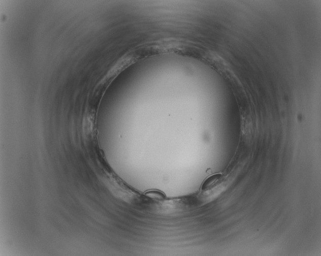 X0000065250382200603031810