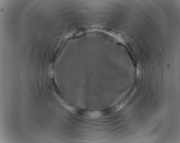 X0000065250383200603031810