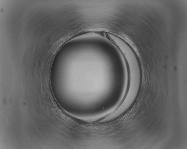 X0000065250385200603031809