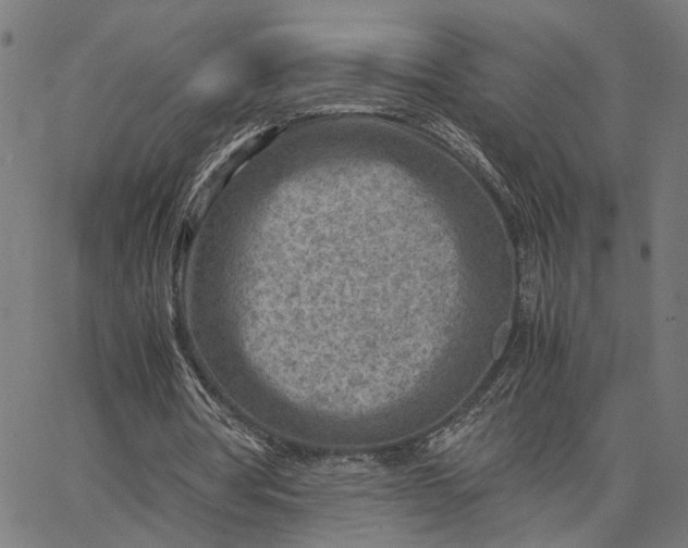 X0000065250386200603031809