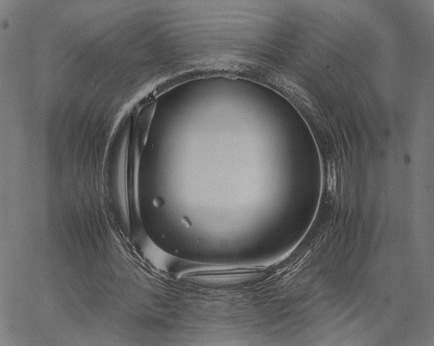 X0000065250388200603031809