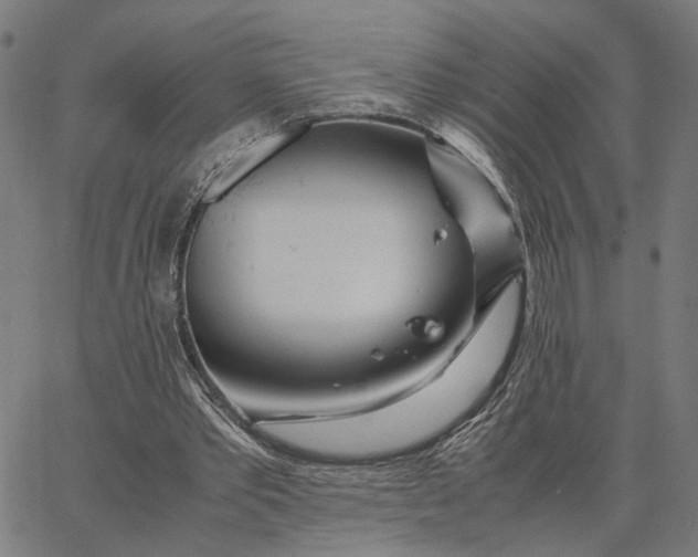 X0000065250389200603031809