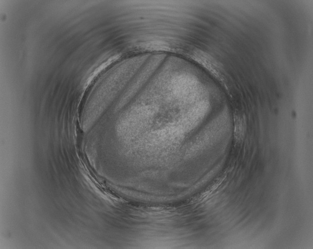 X0000065250390200603031809