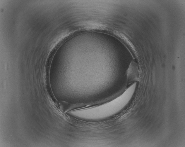 X0000065250391200603031809