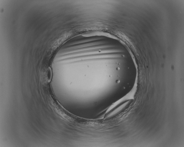 X0000065250393200603031809