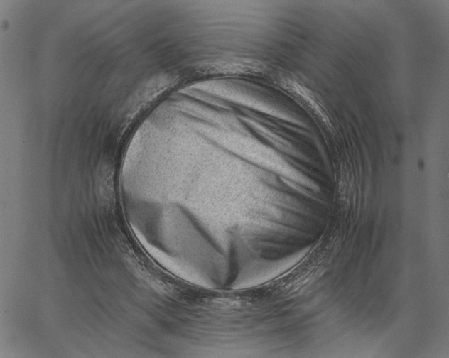 X0000065250394200603031809