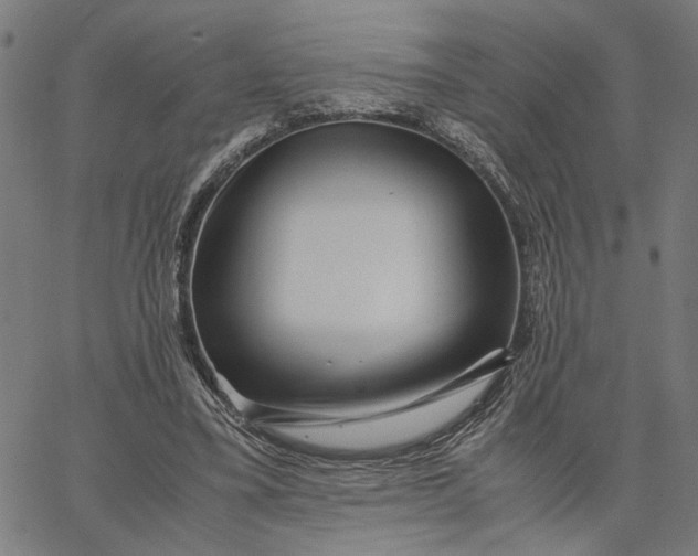 X0000065250395200603031809