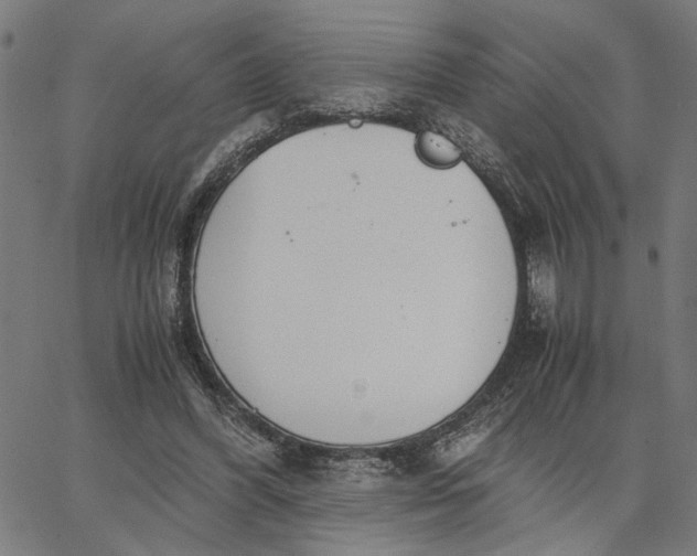 X0000065250396200603031809