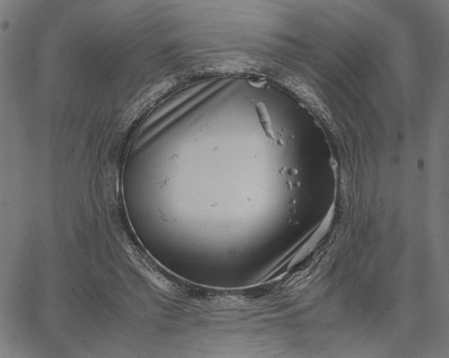 X0000065250397200603031809