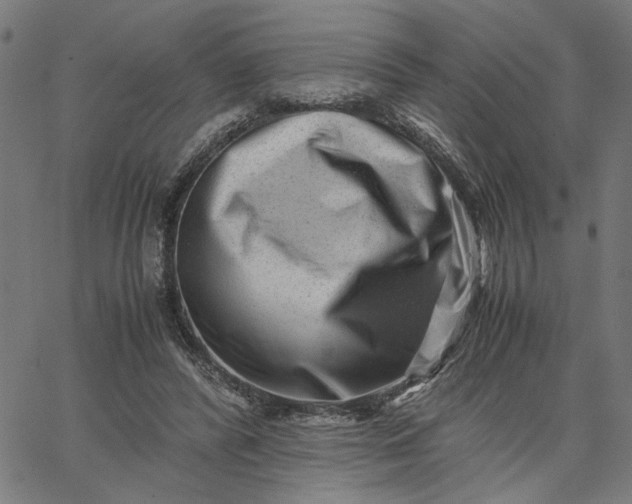 X0000065250400200603031809