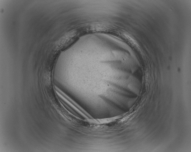 X0000065250401200603031808