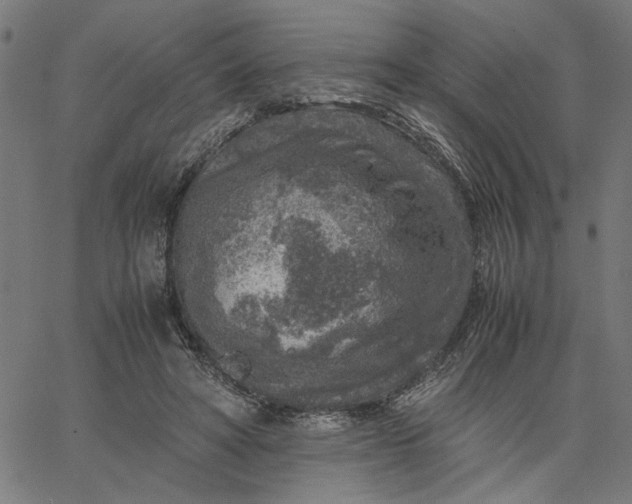 X0000065250402200603031808