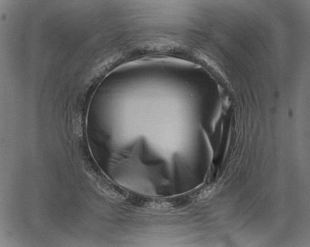 X0000065250403200603031808