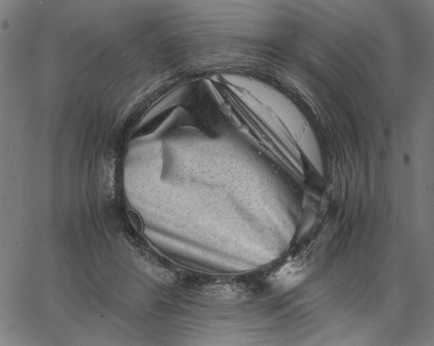 X0000065250404200603031808