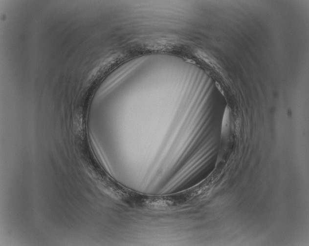 X0000065250407200603031808