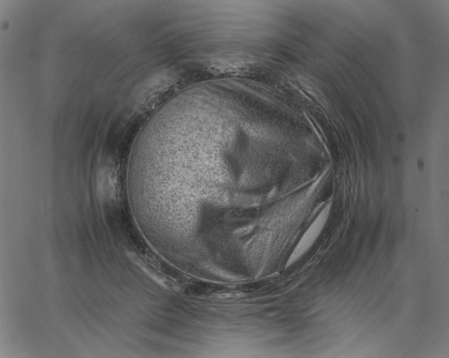 X0000065250408200603031808