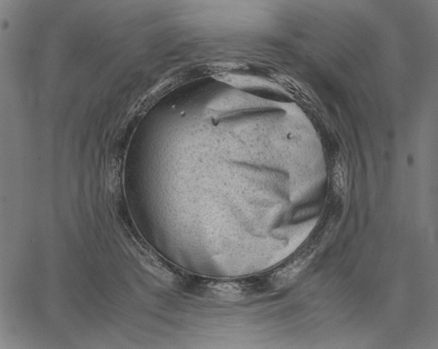 X0000065250409200603031808