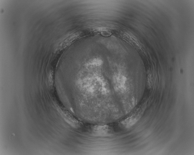 X0000065250410200603031808