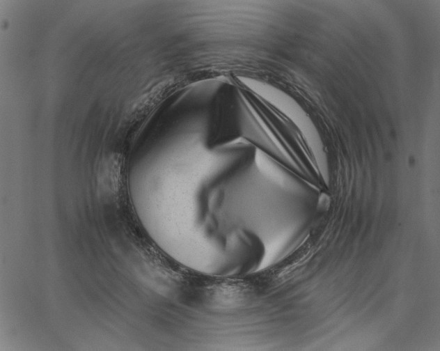 X0000065250412200603031808