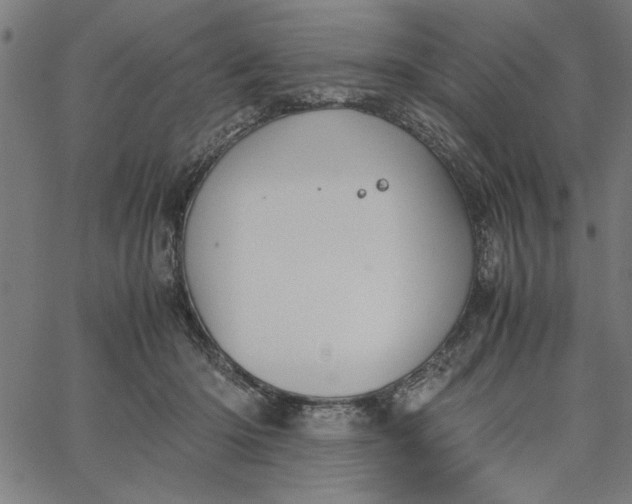 X0000065250414200603031808