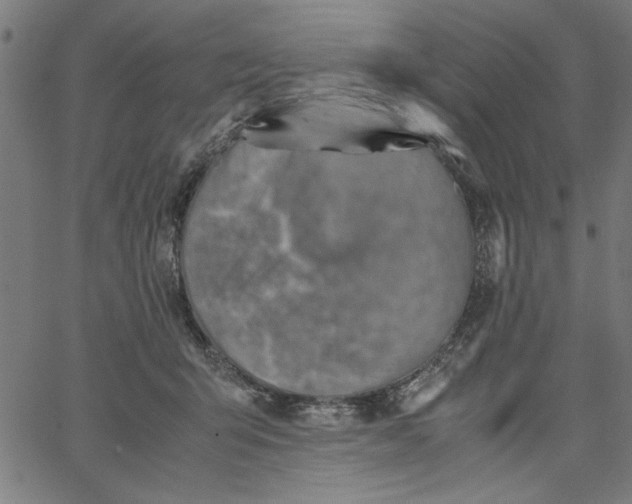 X0000065250415200603031808