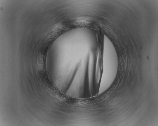 X0000065250416200603031808