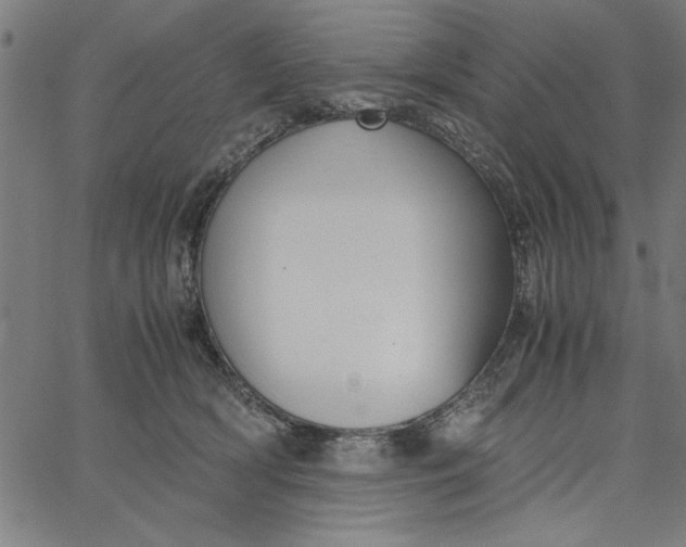 X0000065250418200603031808