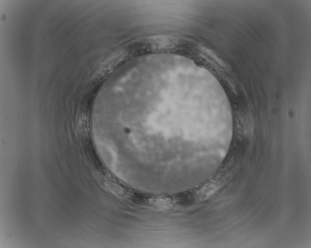 X0000065250419200603031808