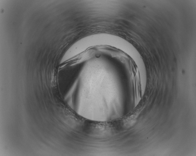 X0000065250420200603031808