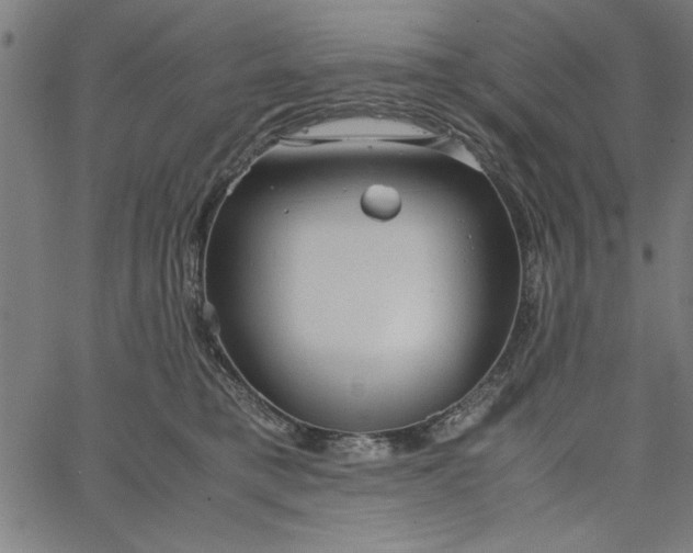 X0000065250421200603031808