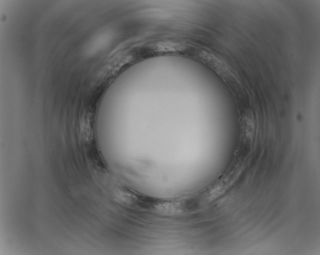 X0000065250422200603031808